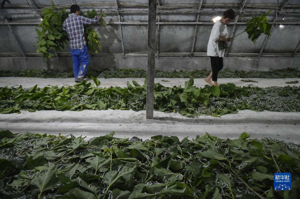 威尼斯赌城线上网投
